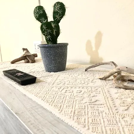 City B&B 게스트하우스 *