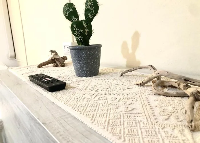 City B&B Gæstehus *